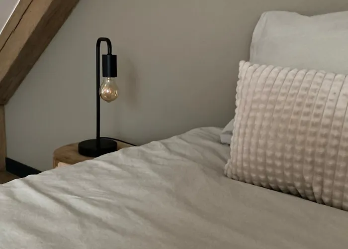 De Slaapsoof De Lier